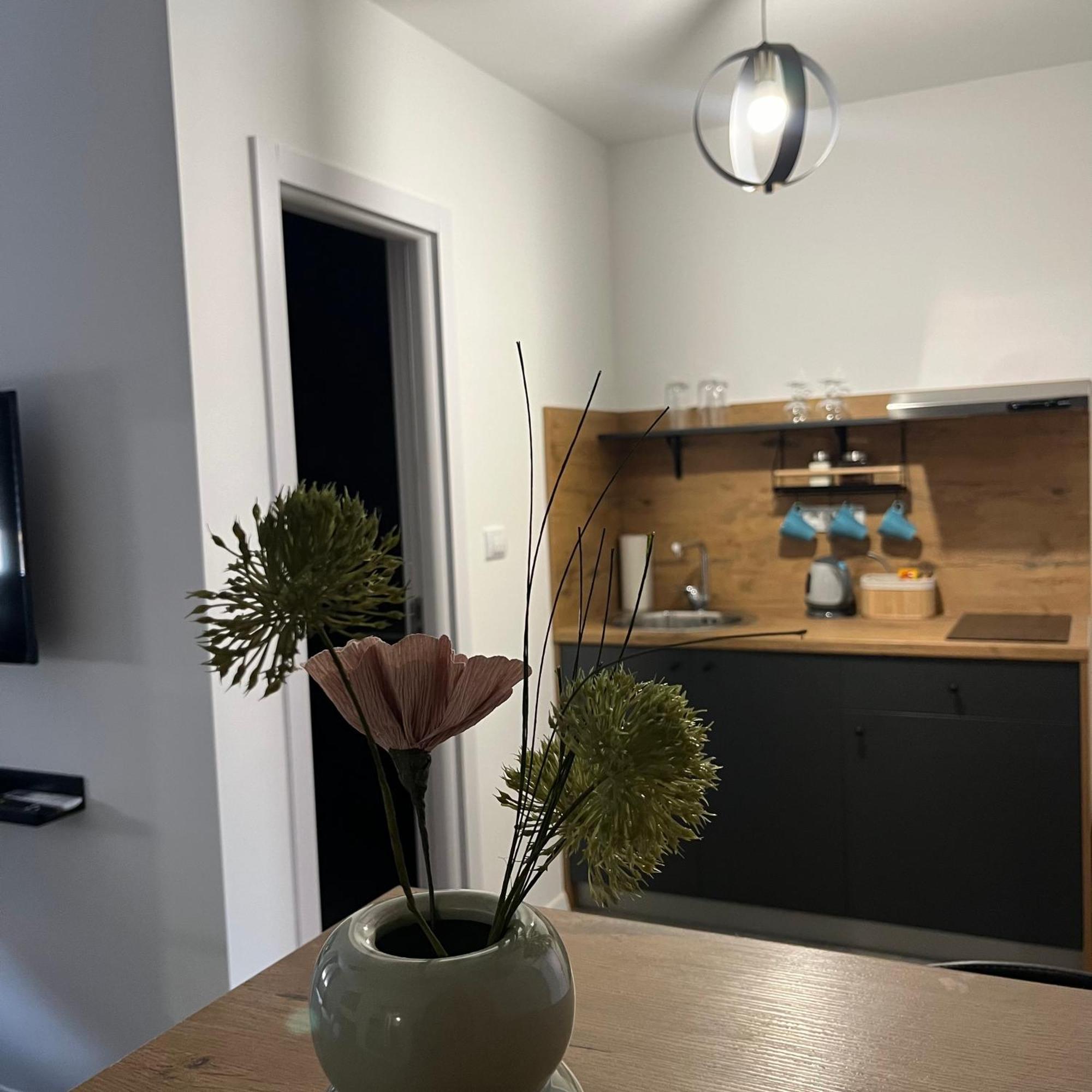 Beoair Apartments Surčin Zewnętrze zdjęcie